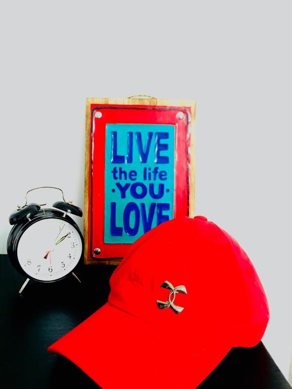 Area 4 eco cubes - 15