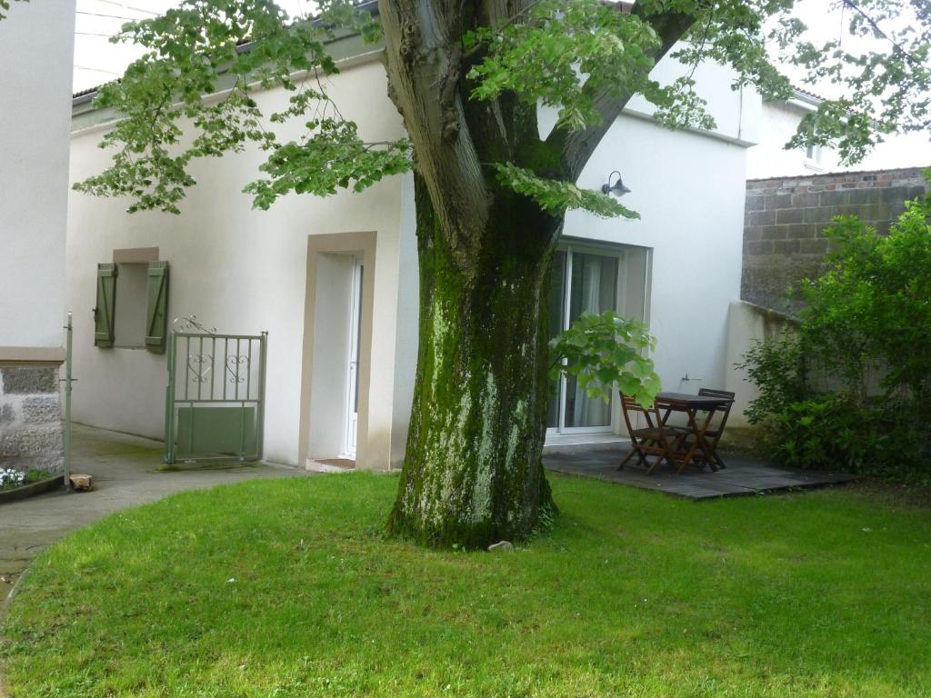 a tree in a yard next to a building at Gîte du Tilleul in Vienne