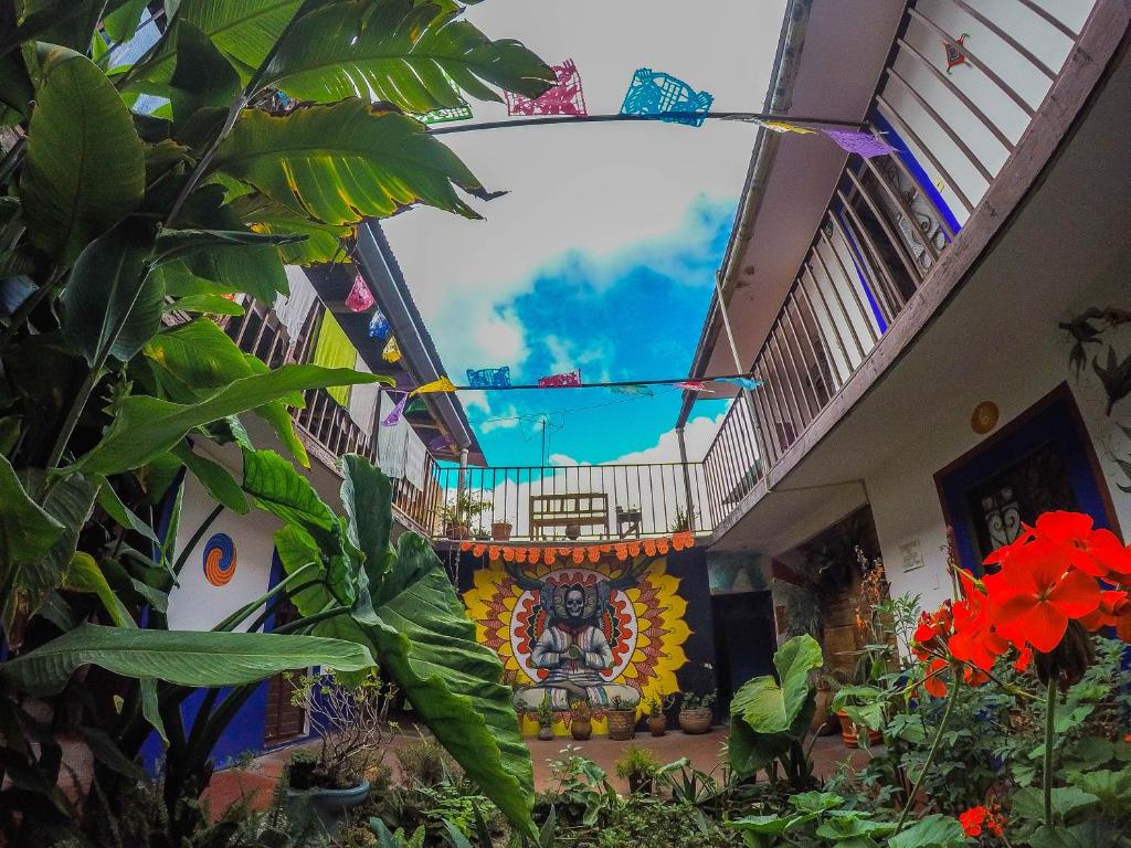 Zahrada ubytování Hostel El Nagual