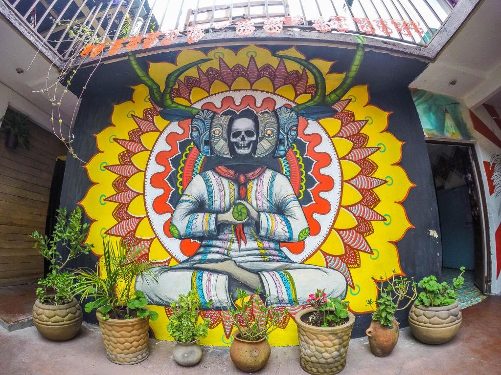 Fotografie z fotogalerie ubytování Hostel El Nagual v destinaci San Cristóbal de Las Casas