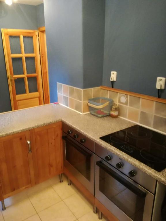 Kuchyň nebo kuchyňský kout v ubytování Chata Tatry