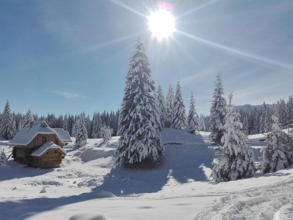 Lodge Nadgora durante l'inverno