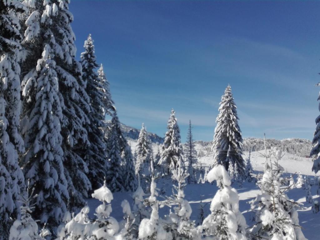 Lodge Nadgora durante l'inverno