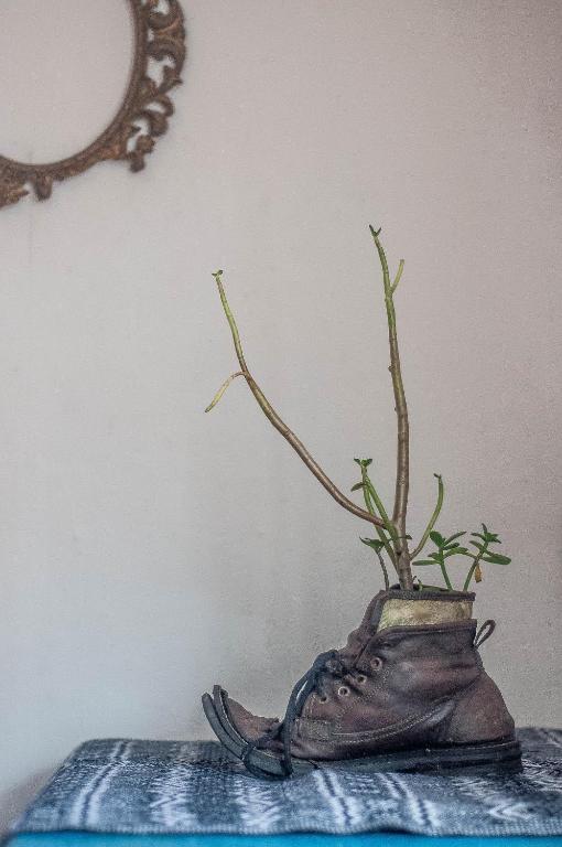 Fotografie z fotogalerie ubytování Hostel El Nagual v destinaci San Cristóbal de Las Casas