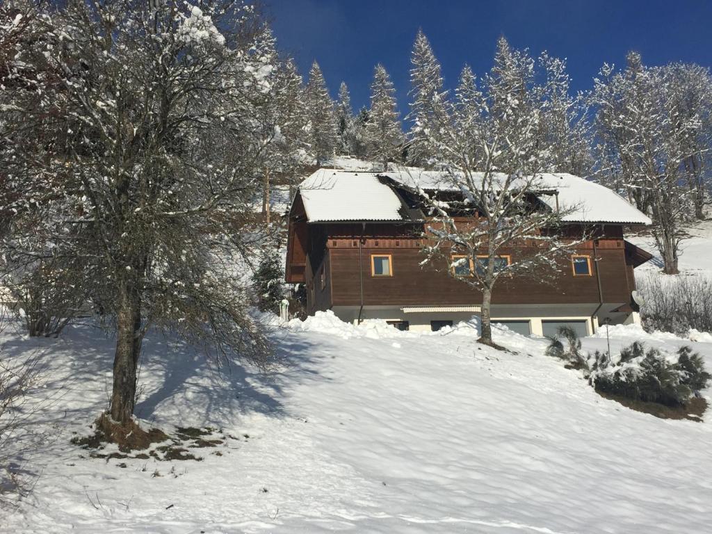 une cabane en bois dans la neige avec des arbres devant dans l'établissement Appartement VIDMAR-WINTERTRAUM, à Arriach