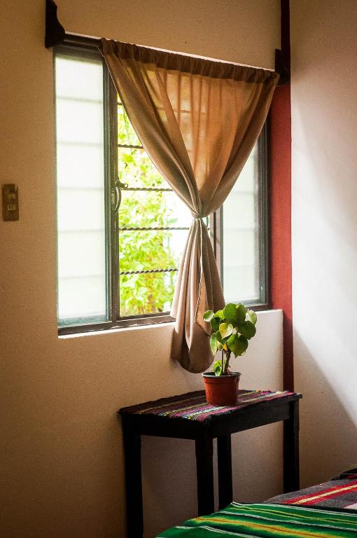 Fotografie z fotogalerie ubytování Hostel El Nagual v destinaci San Cristóbal de Las Casas