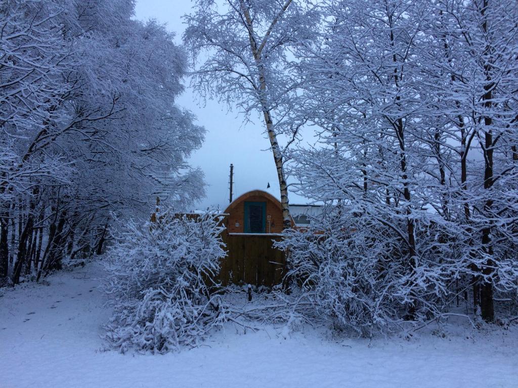 a cabin in the woods covered in snow at Nevis Pod, West Highland Way Holidays in Kinlochleven