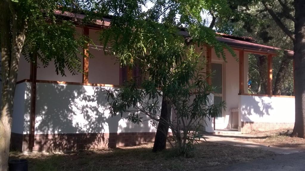 Budova, kde se prázdninový areál nachází