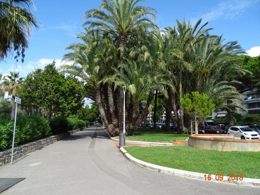a street with palm trees in a park at Palm beach Cannes Azur in Cannes