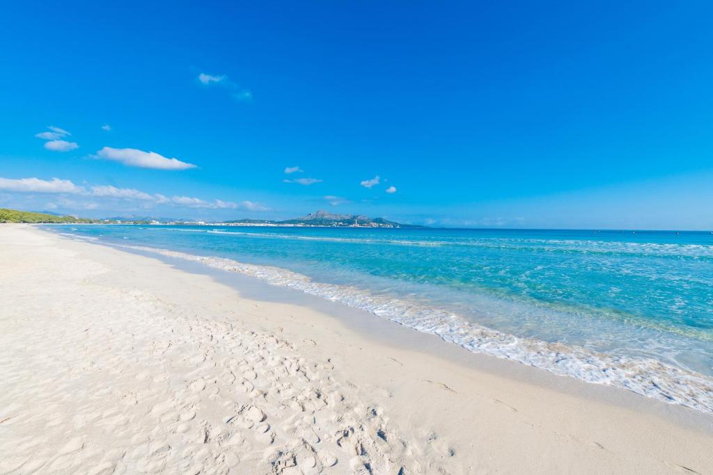 New! APARTMENT SUN OF THE BAY 3B