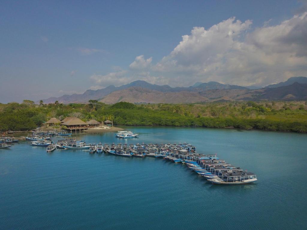 eine Gruppe von Booten, die an einem Dock im Wasser angedockt sind in der Unterkunft Mimpi Resort Menjangan in Banyuwedang