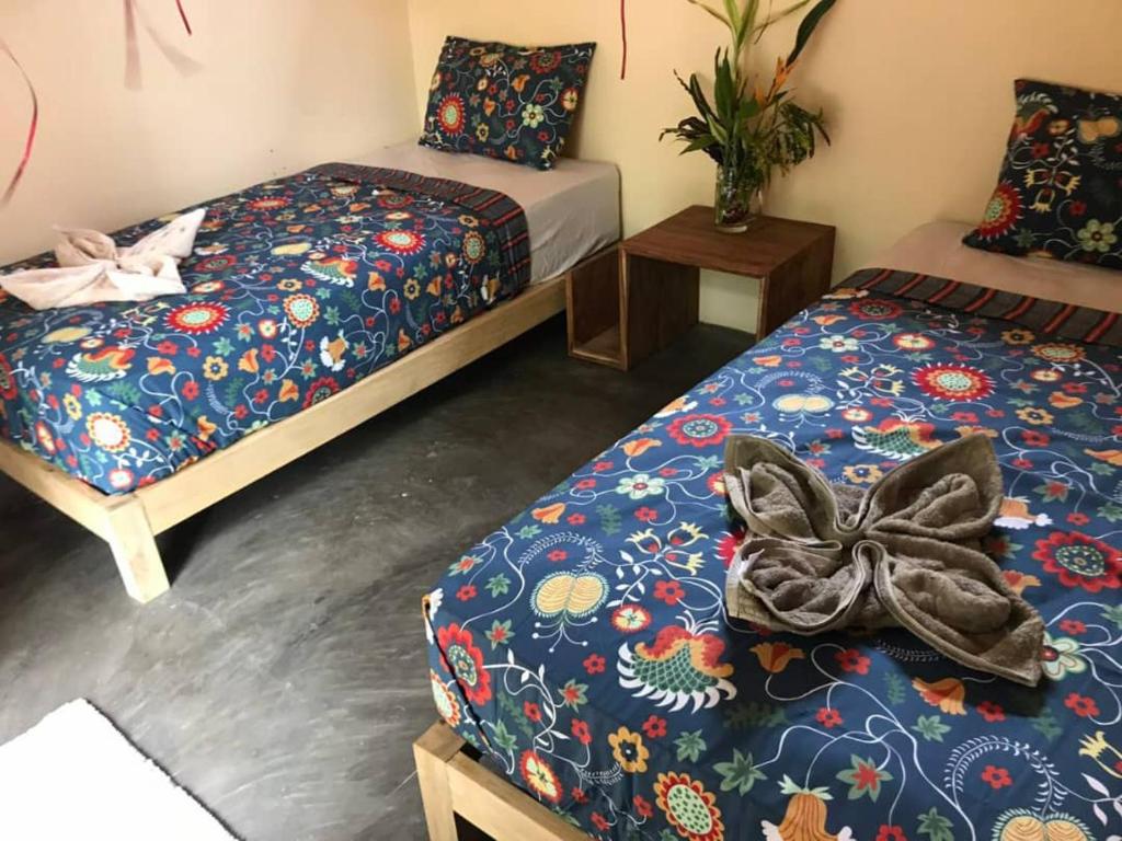 Tevana House Reef - Dorm Sharing Savannah