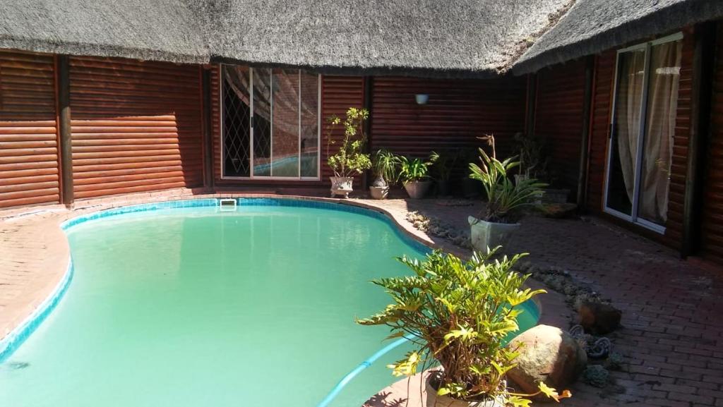 a swimming pool in front of a thatched house at A Swallows Rest in Kareedouw