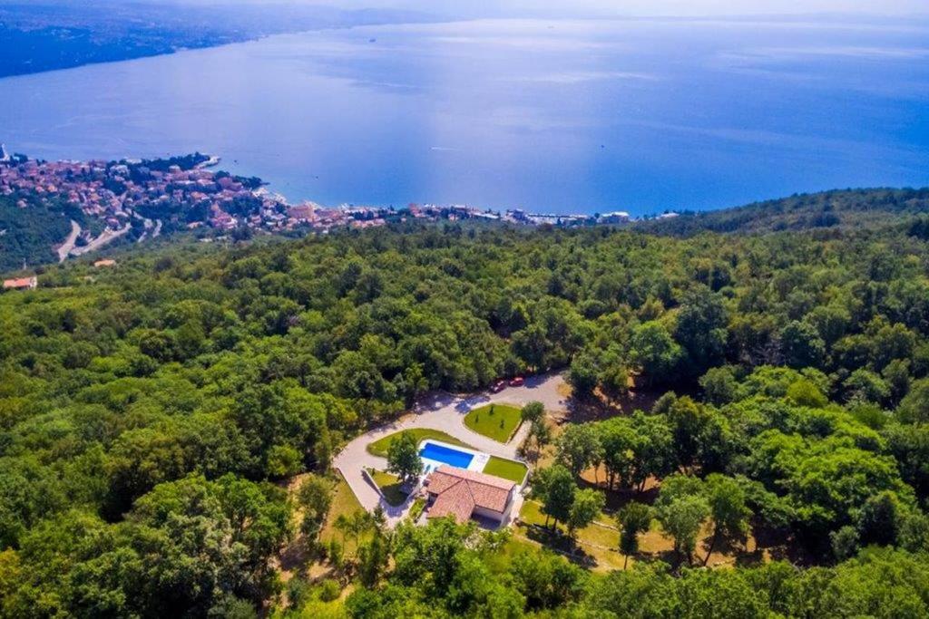 eine Luftansicht eines Hauses mit Pool in der Unterkunft Villa Marron in Veprinac
