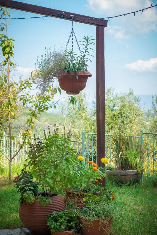 Zahrada ubytování Villa Eythimia