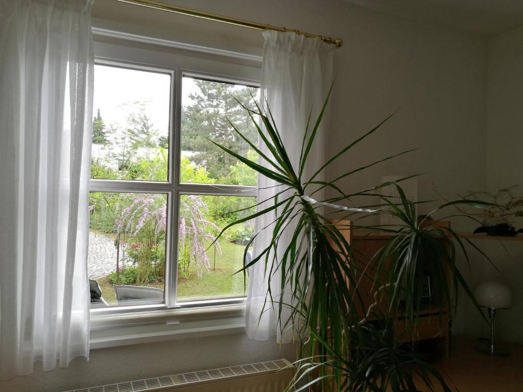 Zahrada ubytování Apartment HAUS MERLIN am Böckelsberg