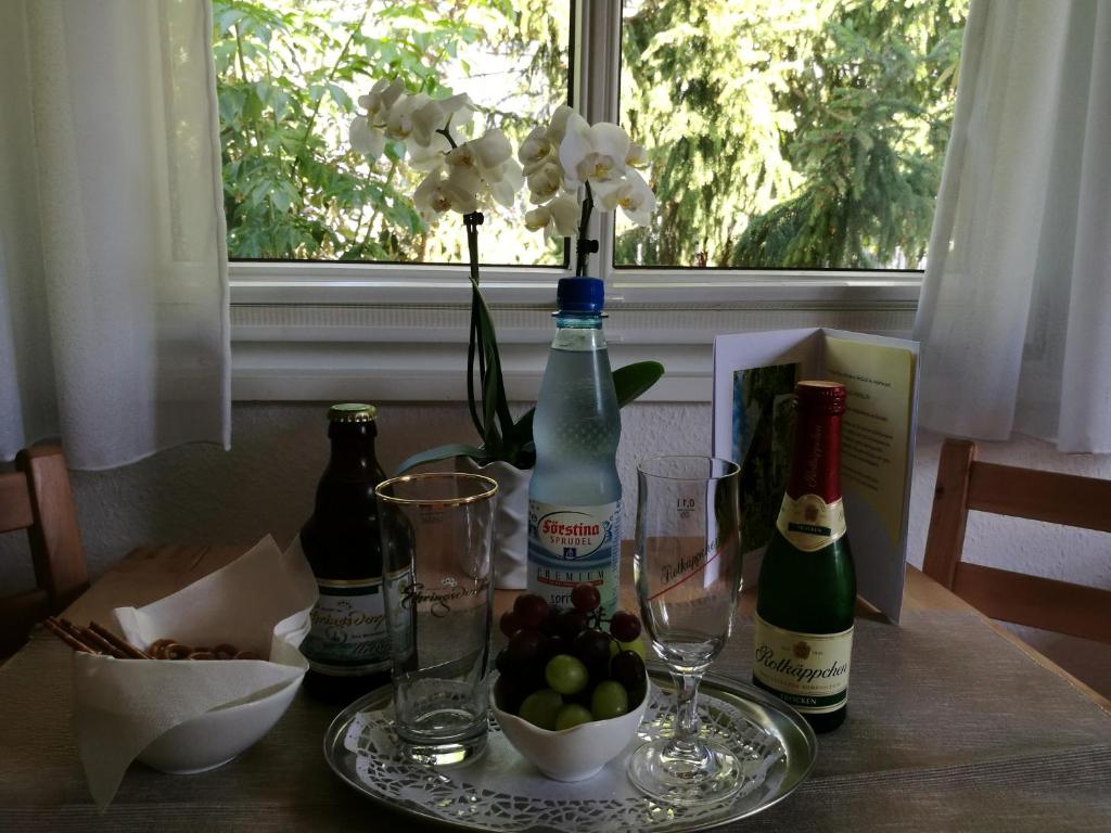 Nápoje v ubytování Apartment HAUS MERLIN am Böckelsberg