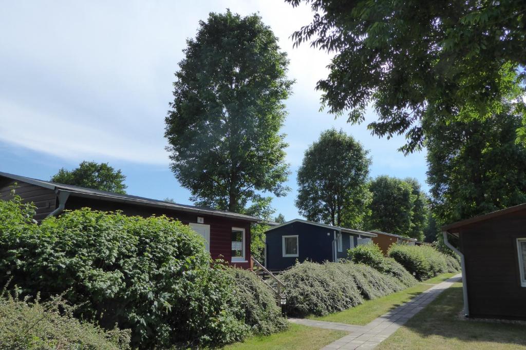 Blick auf ein Haus mit einem Baum im Hintergrund in der Unterkunft Feriendorf Boeker Mühle in Boek