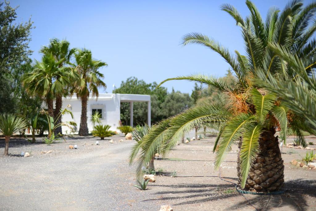 Cortijo Oro Verde B&B, Tabernas – aktualne ceny na rok 2022