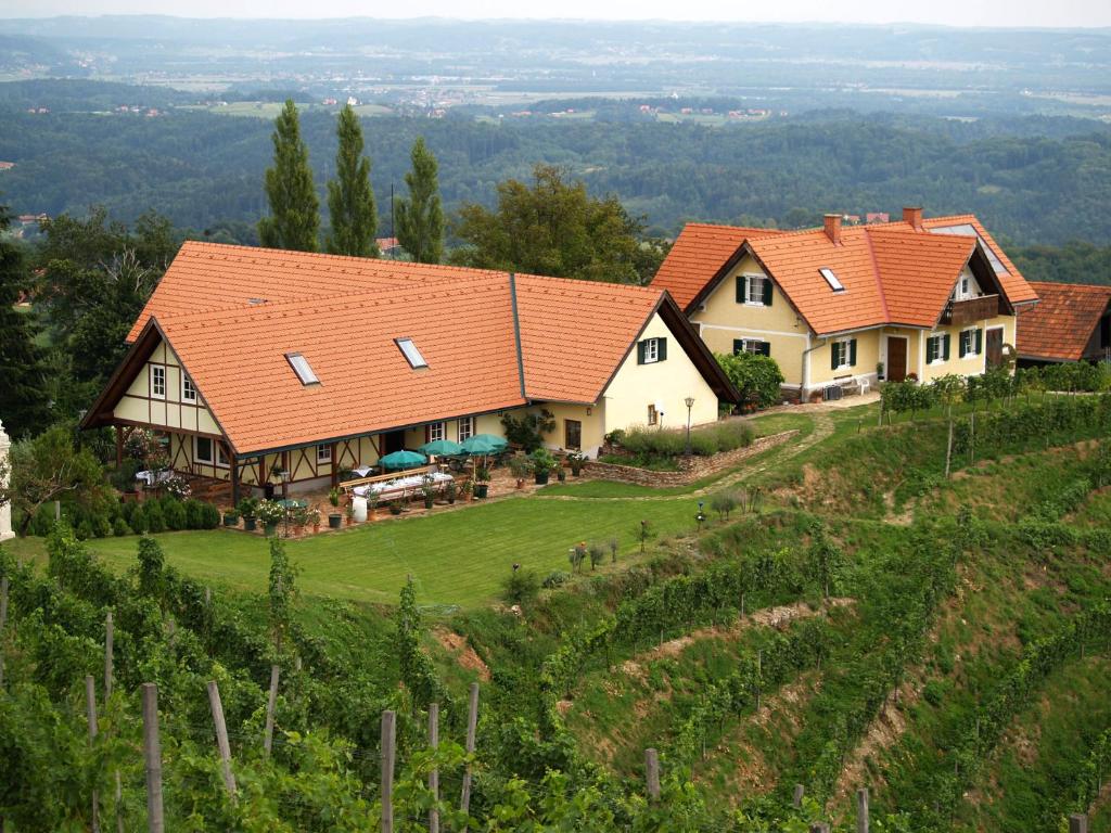 ein Haus auf einem Hügel mit einem Weinberg in der Unterkunft Weingut Albert, Familie Cramer in Kitzeck im Sausal