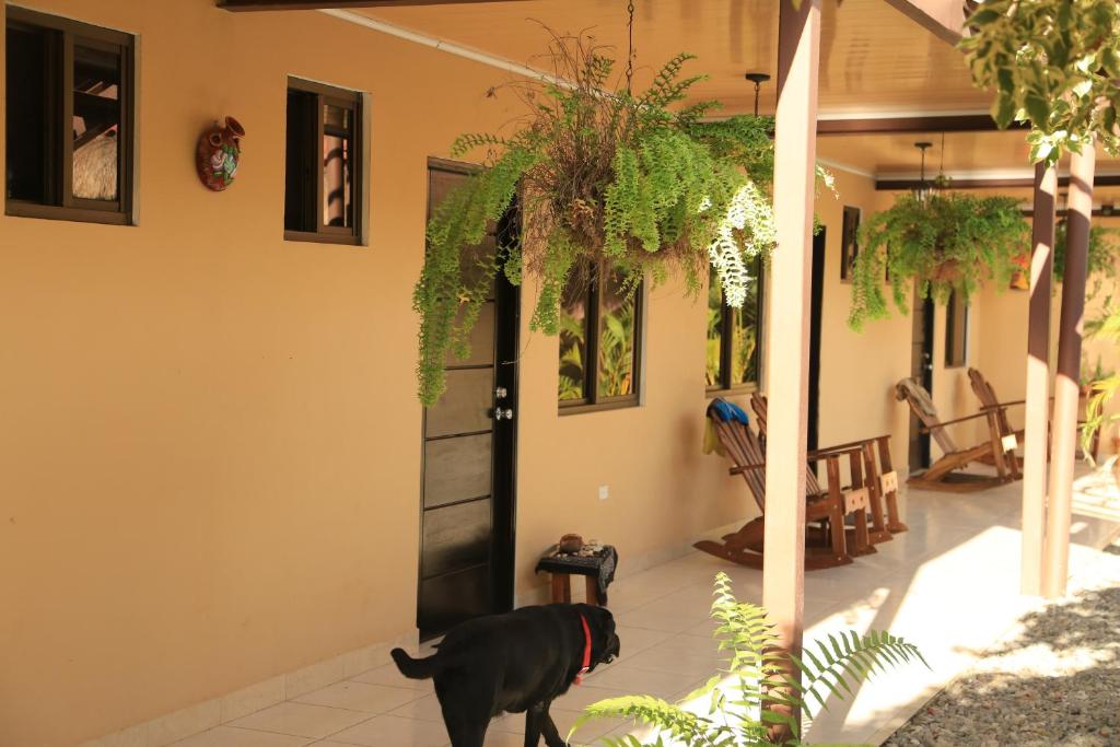 Taman di luar Roxy's Bed & Breakfast