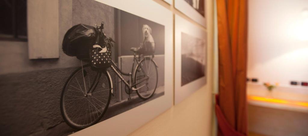 Jazda na bicykli v okolí ubytovania AlbaResidence Masera26