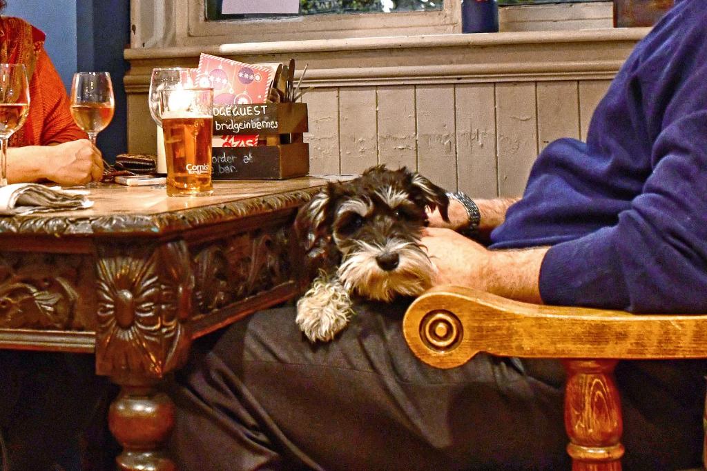 The Bridge Pub & Rooms - Resim 10