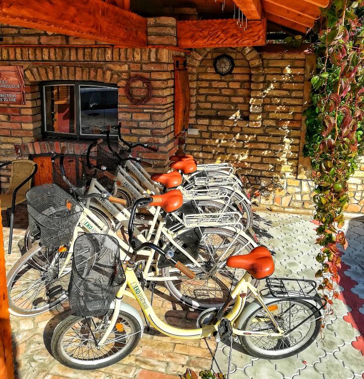 Jízda na kole v ubytování Eko Apartmani nebo okolí