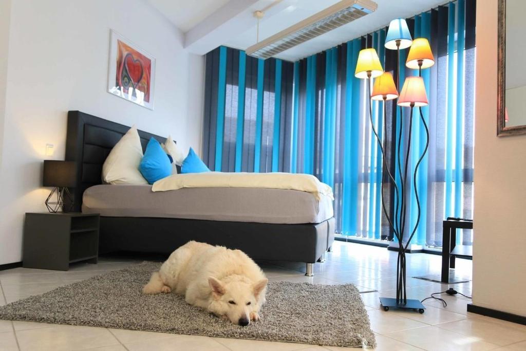 a white dog laying on a rug in a bedroom at Komfort Appartements am Marktplatz in Bexbach