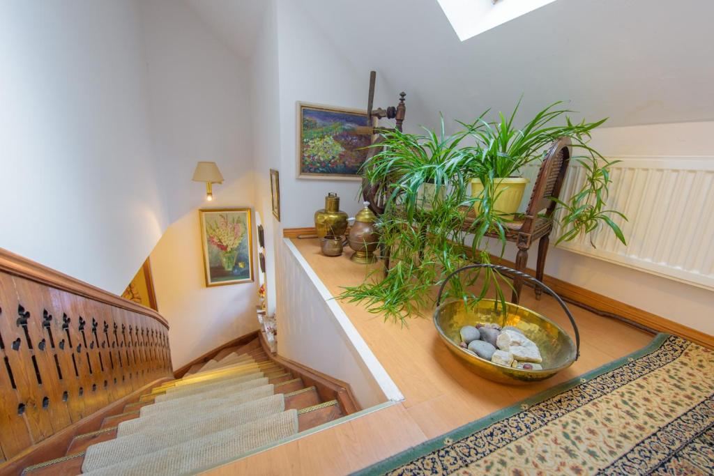 Fotografia z galérie ubytovania Villa Parkowa 5 v destinácii Świeradów-Zdrój