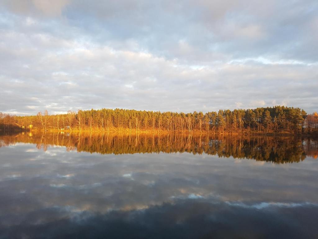 a large body of water with trees in the background at Agro Breza domek nad samym jeziorem- sauna ogrodowa in Lipusz