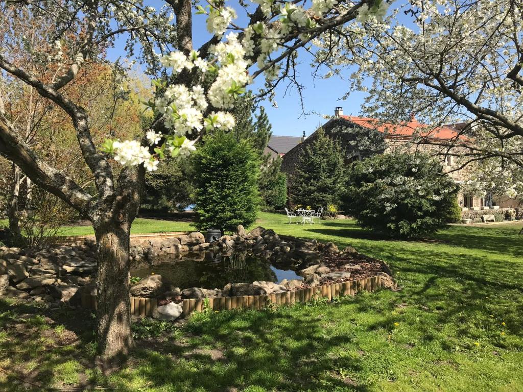 a pond in a park with a tree with white flowers at Chambres d&#39;hôtes les Etoiles in Mareugheol