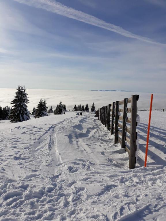 Fotografie z fotogalerie ubytování Apartman Vila Natasa v destinaci Kopaonik