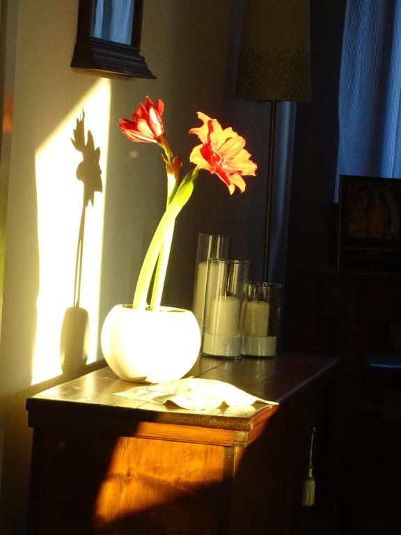 Fotografie z fotogalerie ubytování La casa di Clara v destinaci Esine