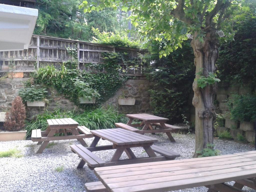 two picnic tables in a garden with a tree at Hotel Val Joly in Saint-Gervais-les-Bains