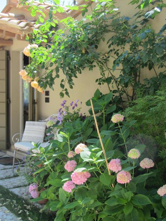 Zahrada ubytování Casina Le Conserve