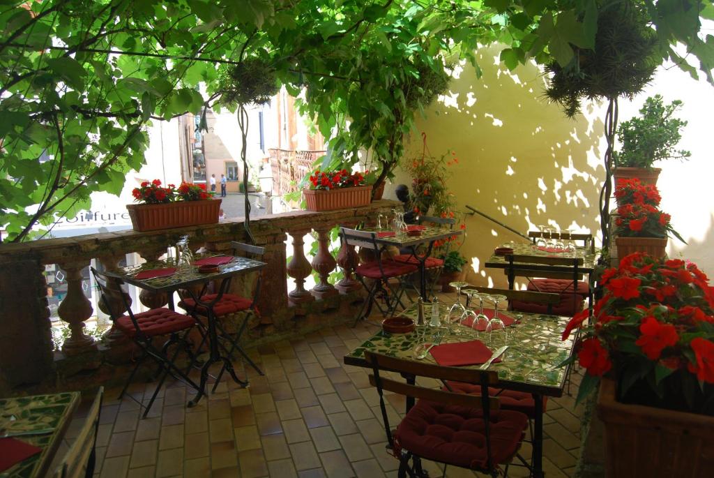 Zahrada ubytování Hotel Vidal