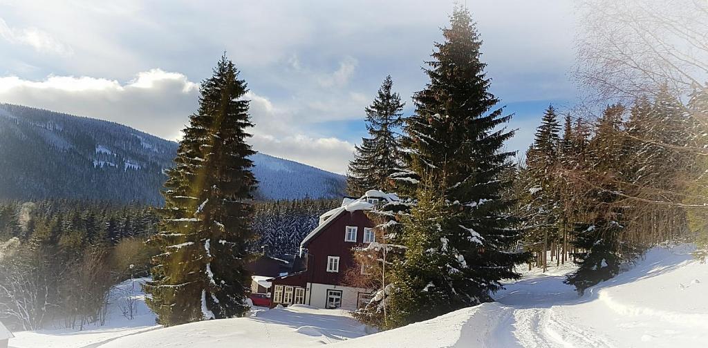 Příroda nedaleko hotelu