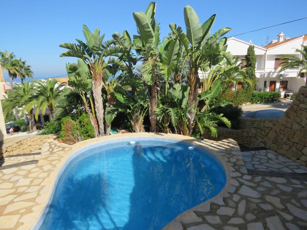einen Pool in einem Garten mit Palmen in der Unterkunft Cascada Azul Nr.1 in Denia