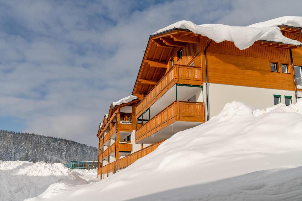 Appartements Ramsau am Dachstein by Schladmingurlaub v zime