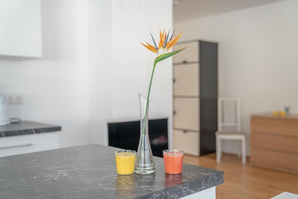 Kuchyňa alebo kuchynka v ubytovaní Appartements Ramsau am Dachstein by Schladmingurlaub