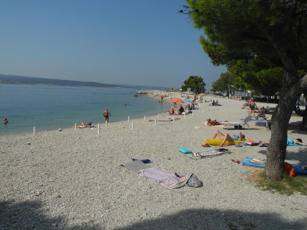 Príroda v okolí apartmánu