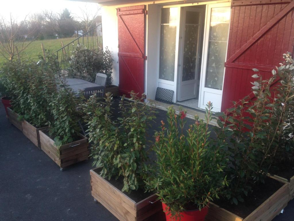 eine Reihe von Topfpflanzen vor einem Haus in der Unterkunft Petit nid douillet in Cambo-les-Bains