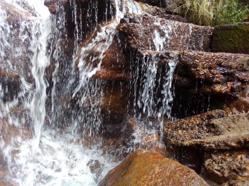 Gallery image of Lavendra Guset House in Adams Peak
