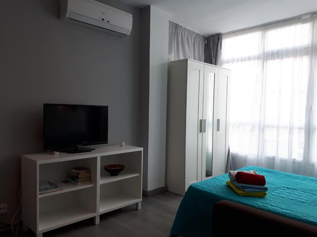 TV a/nebo společenská místnost v ubytování Calle Antonio Millón