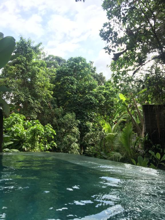 una piscina de agua con árboles en el fondo en Raka Rai Bungalows en Ubud