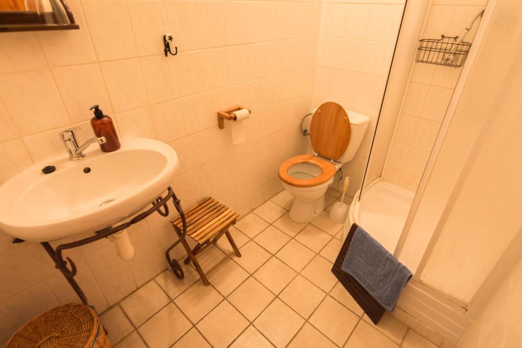 Koupelna v ubytování Holiday Home Usedlost Nový Svět