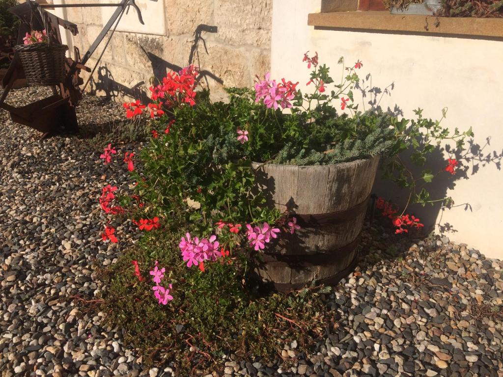 Zahrada ubytování Holiday Home Usedlost Nový Svět