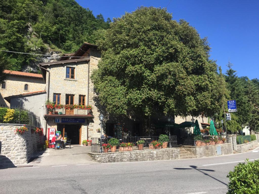 a building on the side of a street with a tree at Albergo Bellavista in Chiusi della Verna