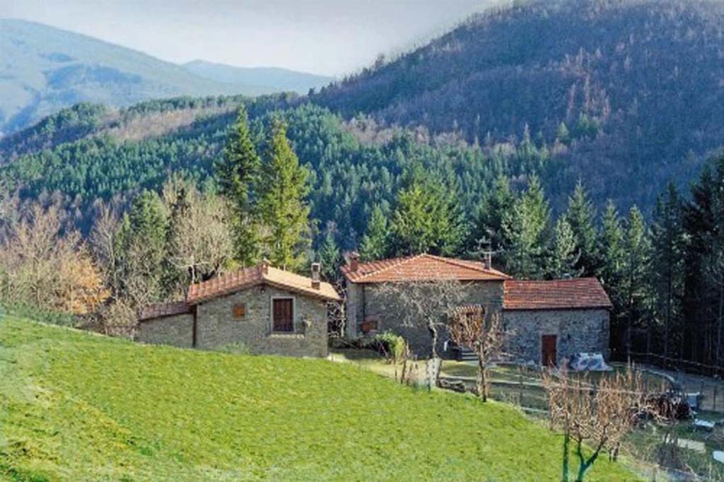 a house on a hill with a green field at Casale Camalda in Serravalle